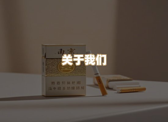 关于逸客网